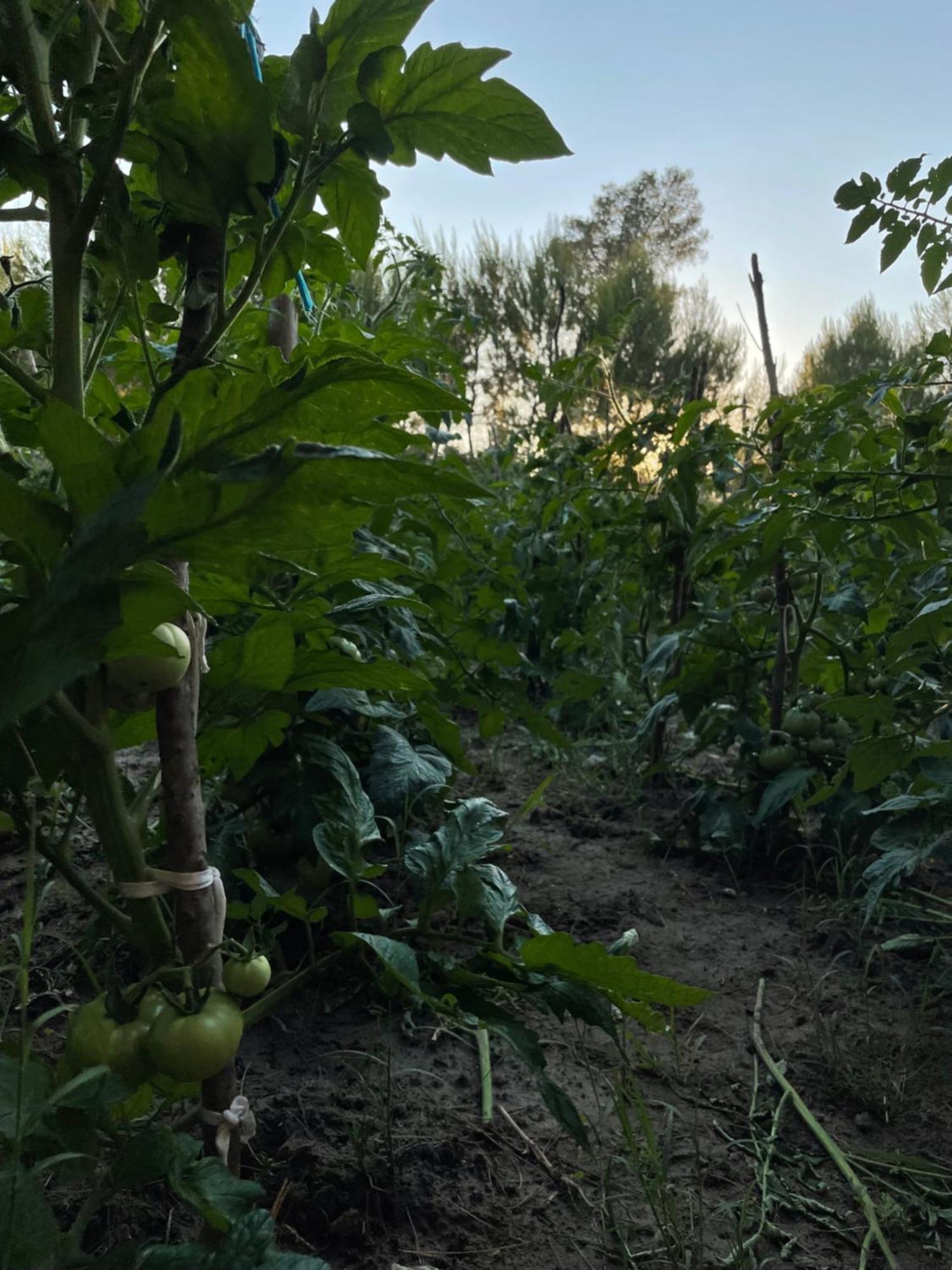 Agroturizem Eldi Hotell Fier Eksteriør bilde